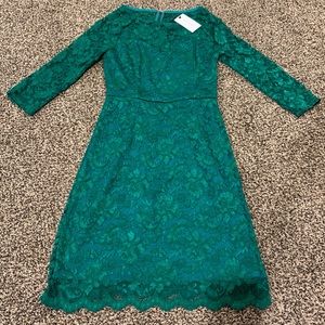 NWT Liza Luxe small green lace dress!